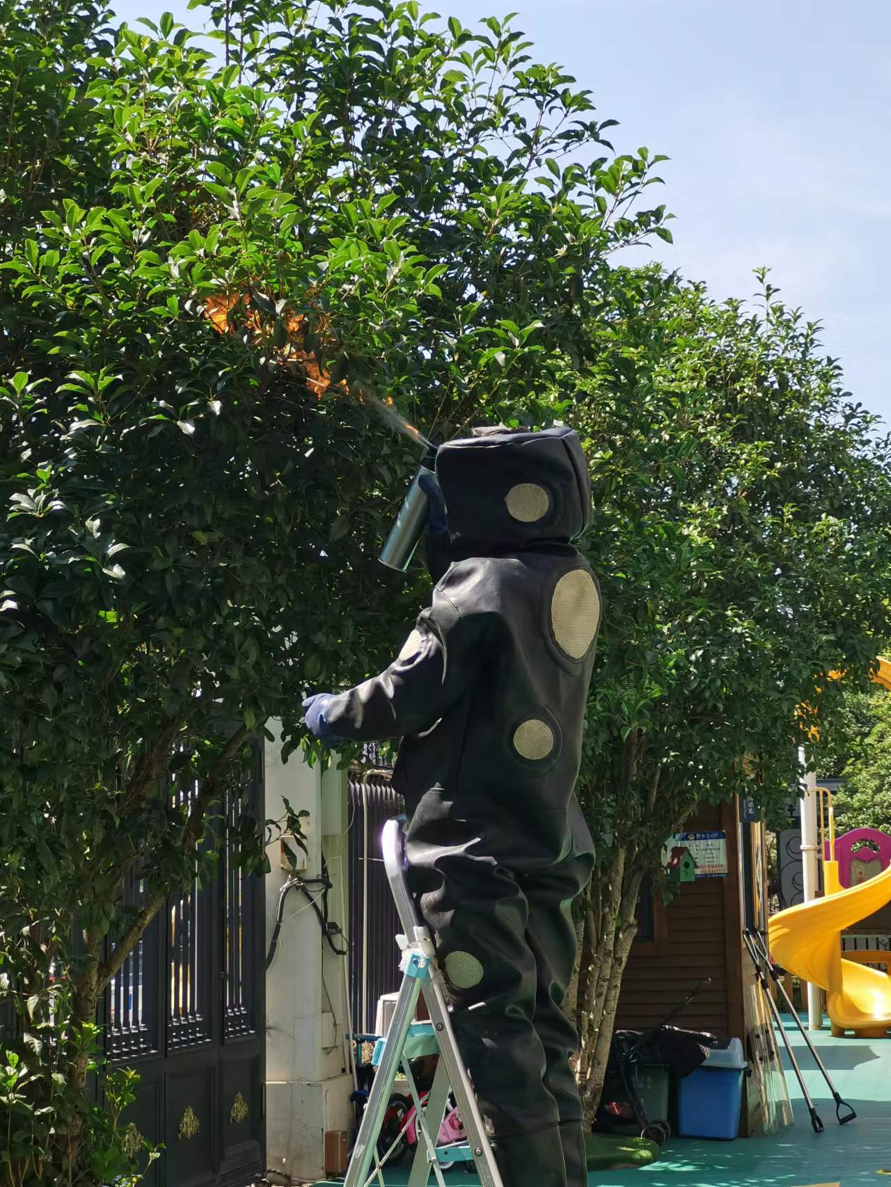 幼儿园树上马蜂窝处理